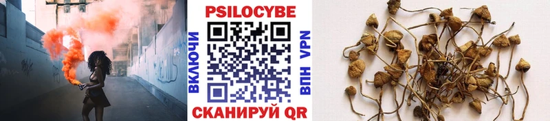как найти закладки  Нариманов  Псилоцибиновые грибы Psilocybine cubensis 